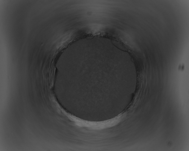 X0000091670039200708301508