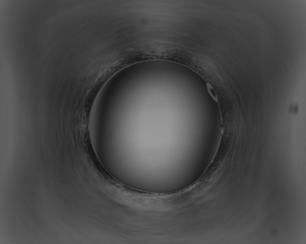 X0000091670040200708301508