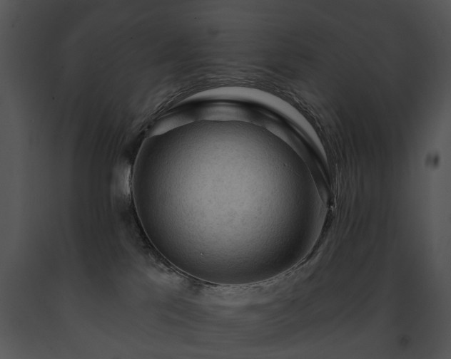 X0000091670041200708301508