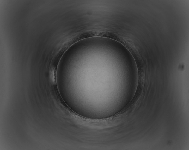 X0000091670042200708301508
