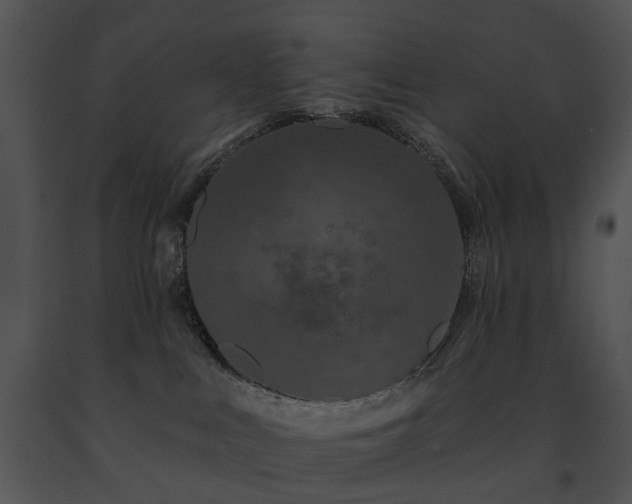 X0000091670043200708301508