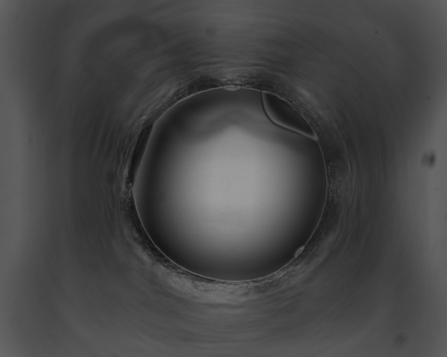 X0000091670044200708301508