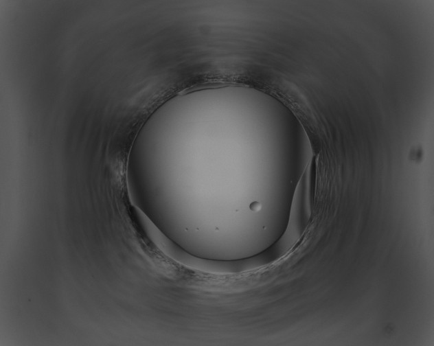 X0000091670045200708301508