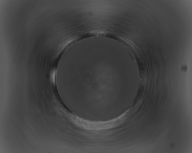 X0000091670047200708301508