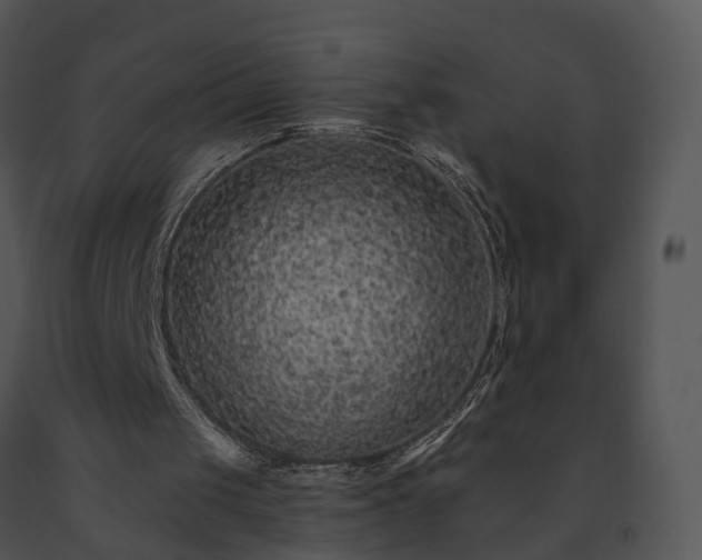 X0000091670049200708301507