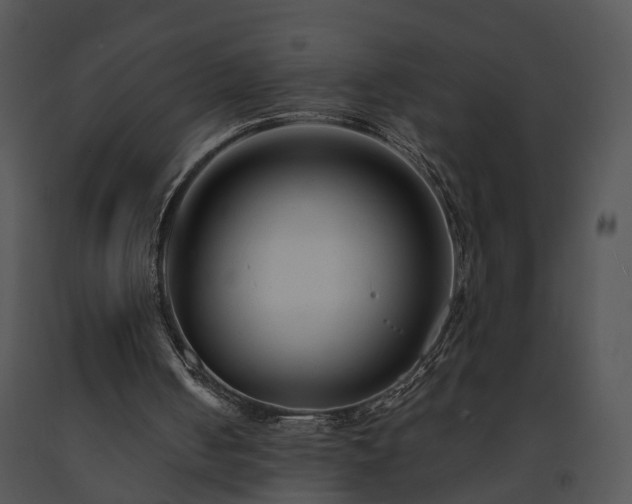 X0000091670050200708301507