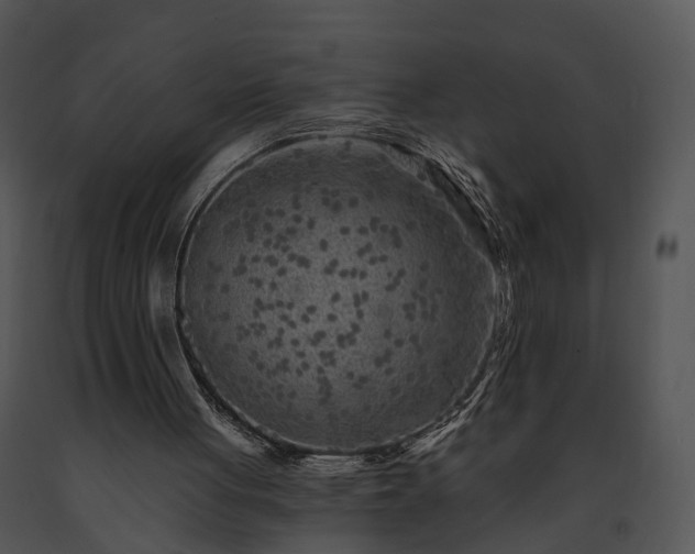 X0000091670051200708301507