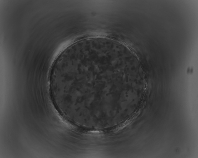 X0000091670053200708301507