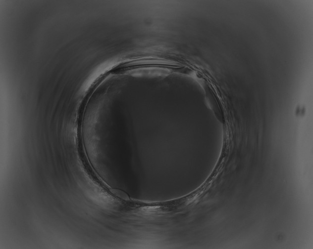 X0000091670054200708301507