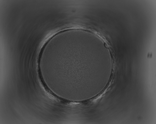 X0000091670055200708301507