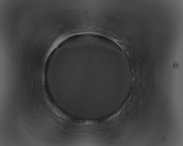 X0000091670056200708301508