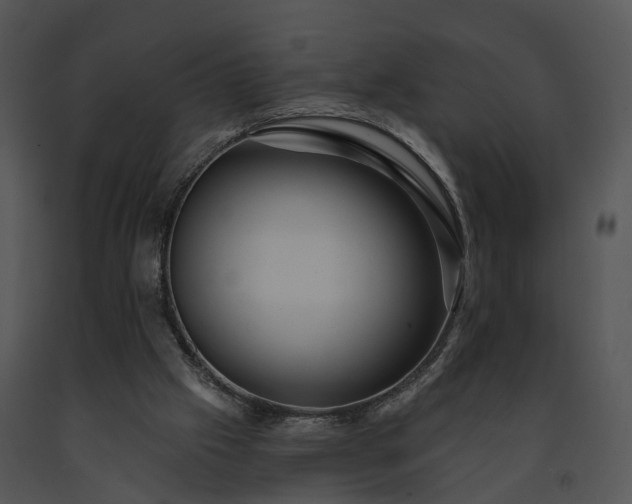 X0000091670057200708301508