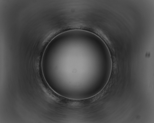 X0000091670058200708301508