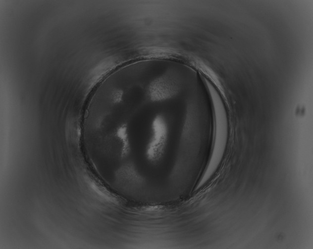X0000091670059200708301508