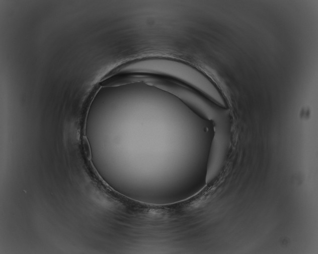 X0000091670060200708301508
