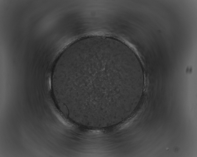 X0000091670061200708301508