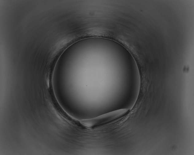 X0000091670062200708301508