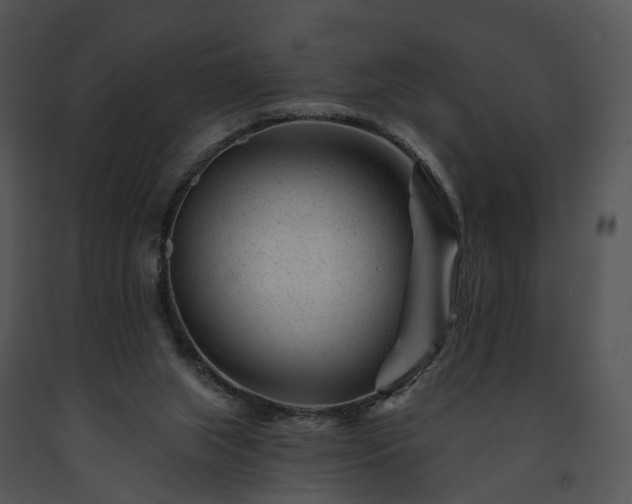 X0000091670063200708301508