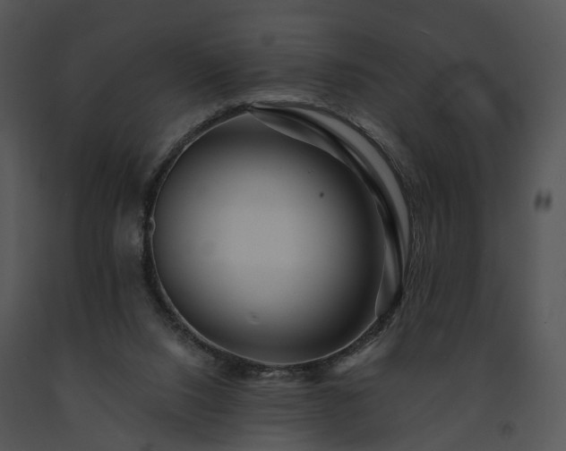 X0000091670064200708301508