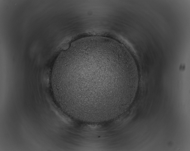 X0000091670065200708301508