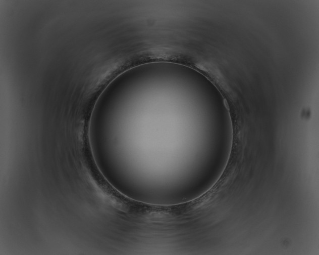 X0000091670066200708301508