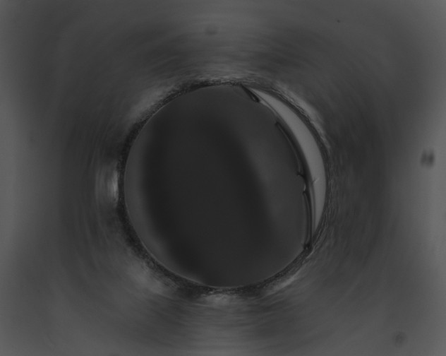 X0000091670067200708301508