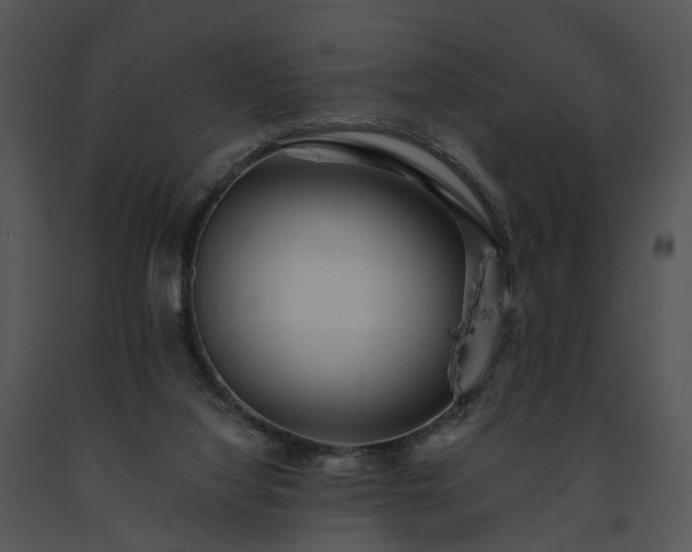 X0000091670068200708301508