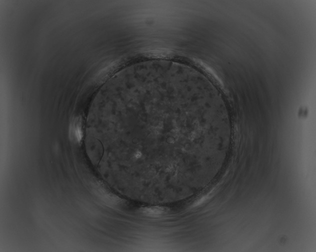 X0000091670069200708301508