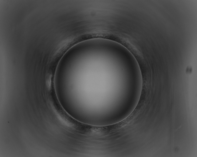 X0000091670070200708301508