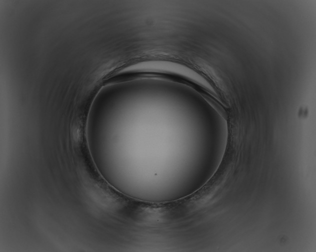 X0000091670071200708301508