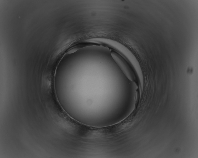 X0000091670072200708301508