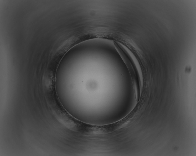 X0000091670073200708301508