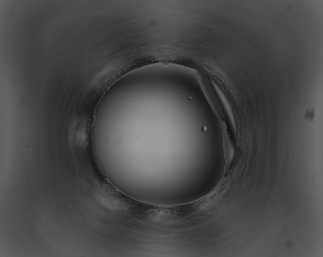 X0000091670074200708301508