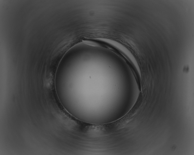 X0000091670077200708301508