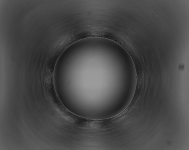 X0000091670078200708301508