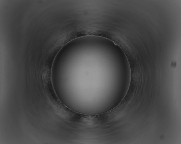 X0000091670079200708301508