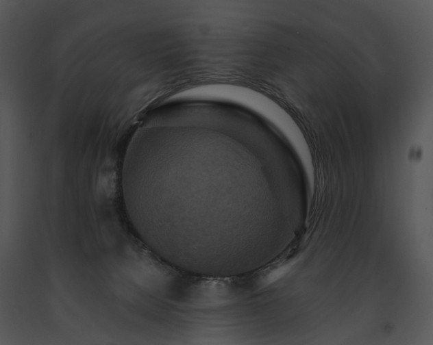 X0000091670080200708301508