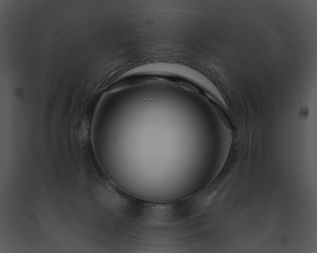 X0000091670081200708301508