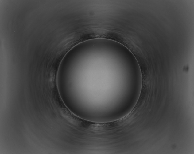 X0000091670082200708301508