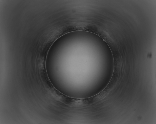 X0000091670083200708301508
