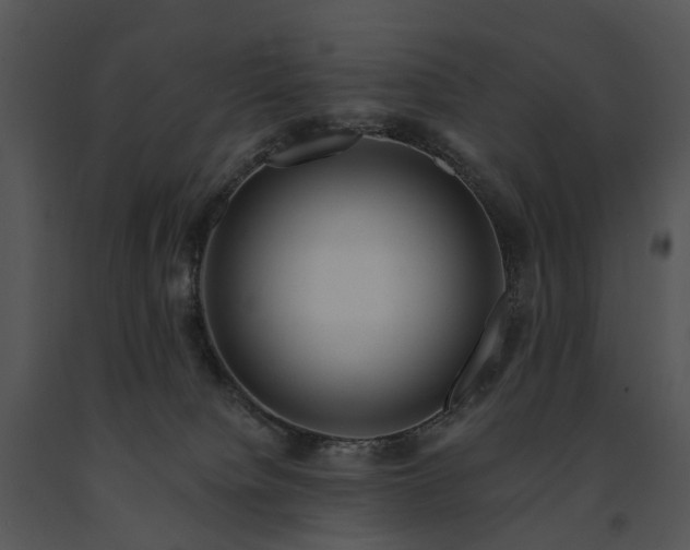 X0000091670084200708301508