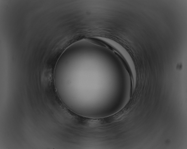 X0000091670085200708301508