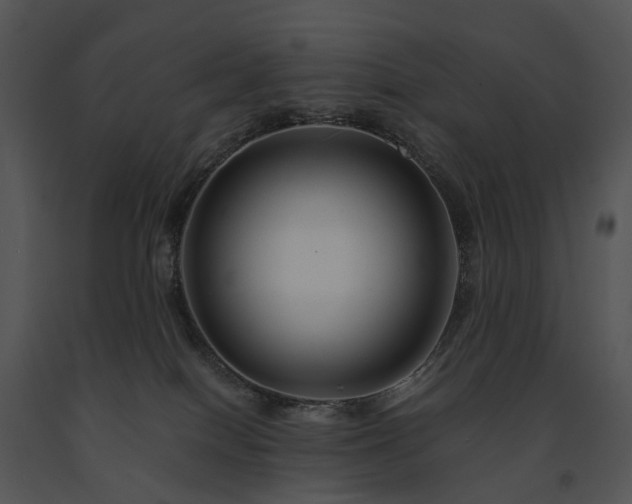 X0000091670086200708301508