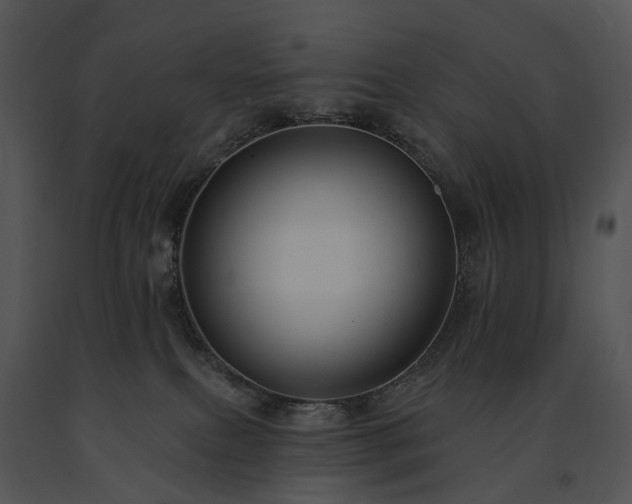 X0000091670087200708301508