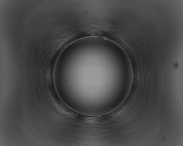 X0000091670088200708301508