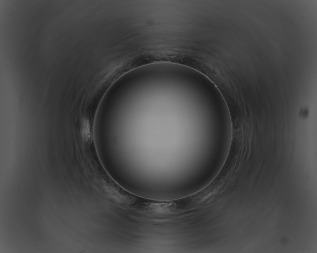 X0000091670089200708301508