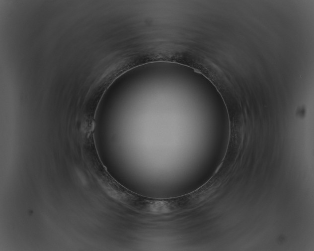 X0000091670091200708301508