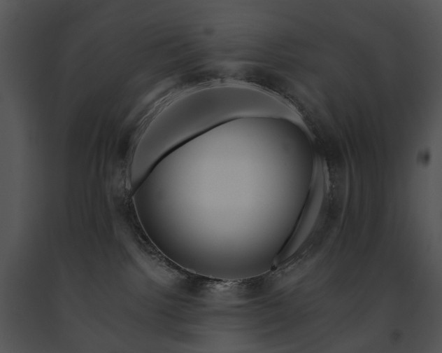 X0000091670092200708301508