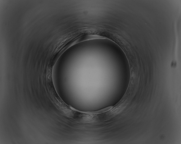 X0000091670096200708301508