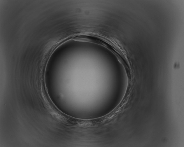 X0000091670097200708301507